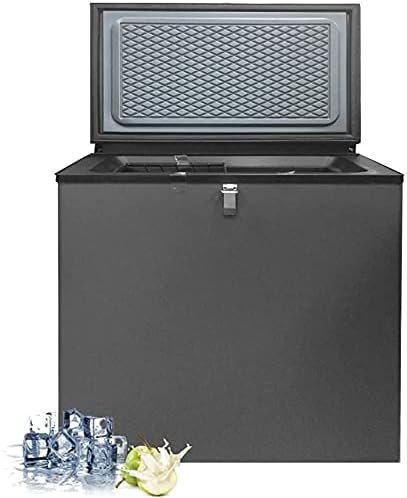 Smad Congélateur à Gaz, 200L, Congélateur Camping, Gaz/220V, Congélateur Silencieux
